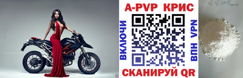 OMG ТОР  где купить наркотик  Камышин  Alpha-PVP VHQ 