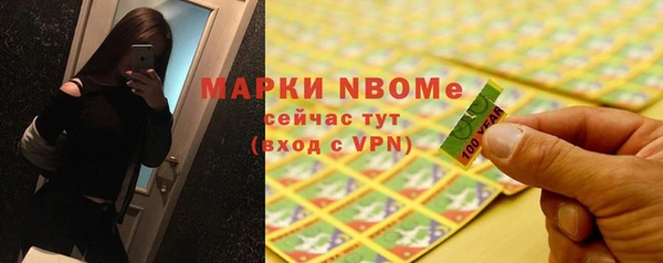 МДПВ Татарск