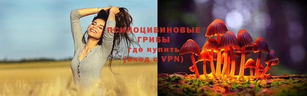 мет Рославль