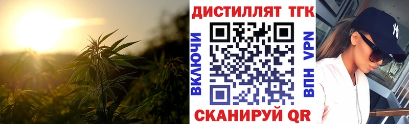 kraken tor  сколько стоит  Камышин  Дистиллят ТГК THC oil 