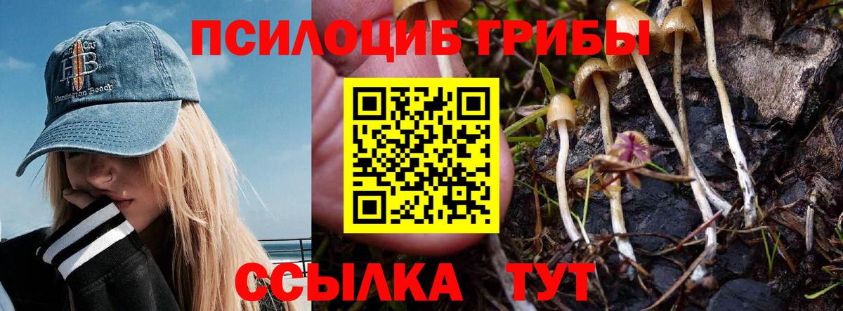 Галлюциногенные грибы прущие грибы  Вход с VPN  Псилоцибиновые грибы Psilocybe  Камышин 